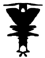 inkblot)